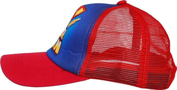 Grote foto pet beer man blauw rood verzamelen overige verzamelingen