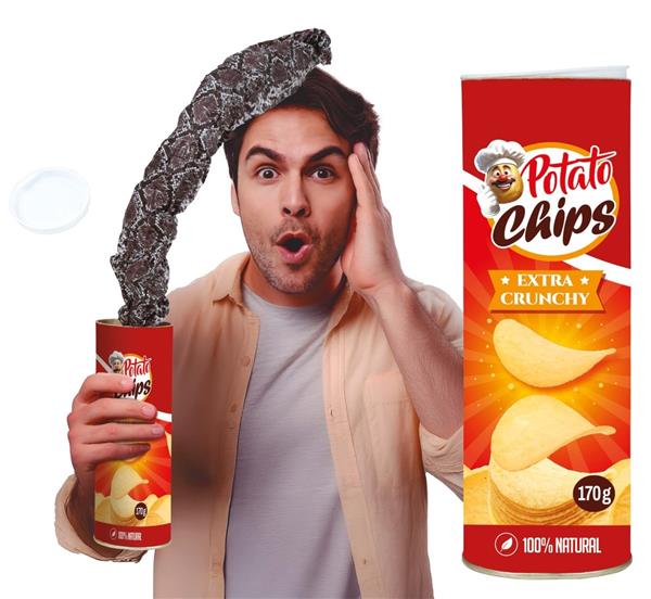 Grote foto surprise potato can 20 cm verzamelen overige verzamelingen