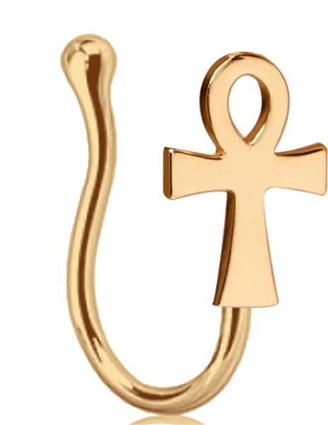 Grote foto neppe neuspiercing goud verzamelen overige verzamelingen