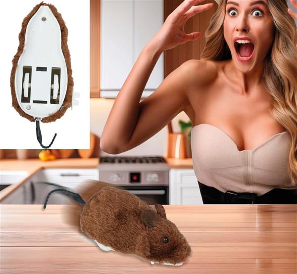 Grote foto nep rat opwindbaar 16 cm verzamelen overige verzamelingen