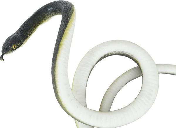 Grote foto nep slang met touw en clip verzamelen overige verzamelingen