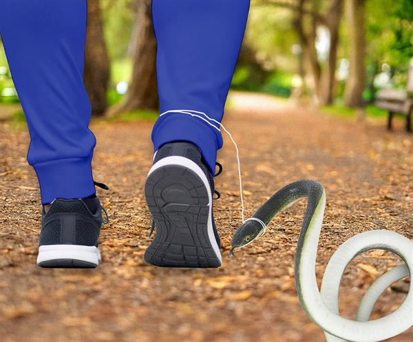 Grote foto nep slang met touw en clip verzamelen overige verzamelingen