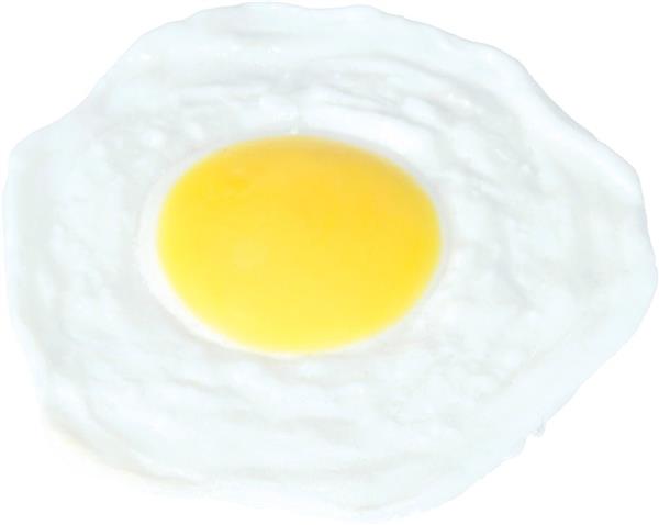 Grote foto fried egg latex verzamelen overige verzamelingen