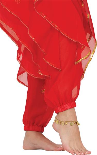 Grote foto metalen muntjes armband volwassenen verzamelen overige verzamelingen