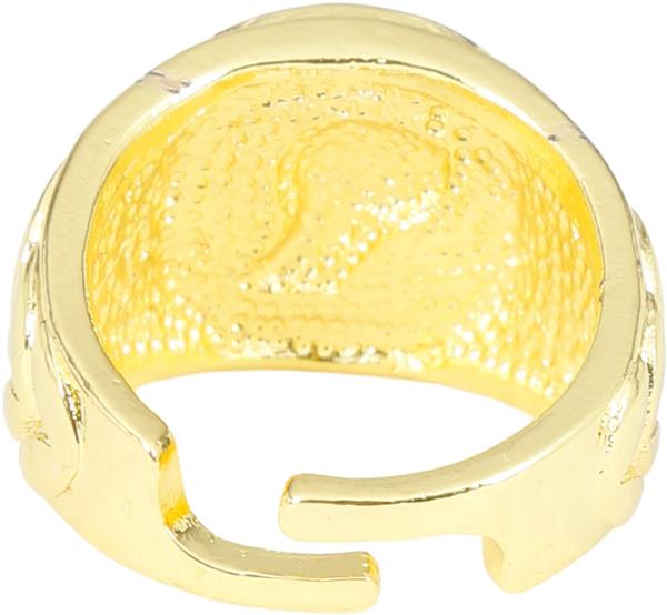 Grote foto roman ring verzamelen overige verzamelingen