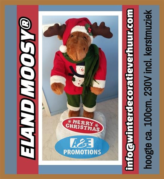 Grote foto top kerst rekwisiet verhuur brabant eindhoven ijs diversen versiering