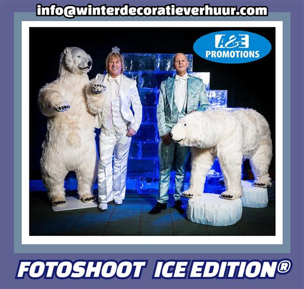 Grote foto huur top kerst sfeer attributen ijsberen etc. diensten en vakmensen bedrijfsuitjes