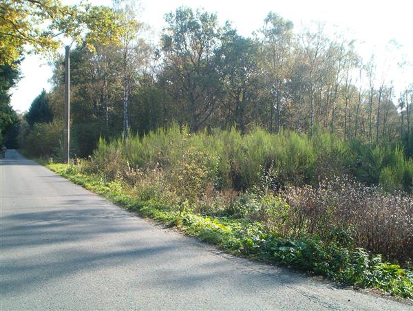 Grote foto tk prachtigwoudperceel 1 uur v.brussel zakelijke goederen overige zakelijke goederen