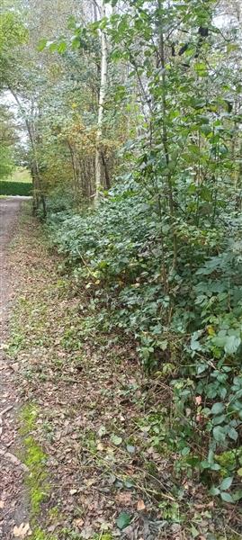 Grote foto tk prachtigwoudperceel 1 uur v.brussel zakelijke goederen overige zakelijke goederen