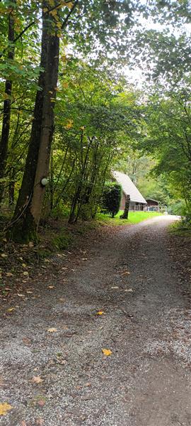 Grote foto tk prachtigwoudperceel 1 uur v.brussel zakelijke goederen overige zakelijke goederen