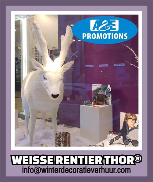 Grote foto verhuur witte hert witte sneeuwpanter knokke diensten en vakmensen bedrijfsuitjes