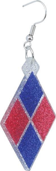 Grote foto diamond earrings verzamelen overige verzamelingen