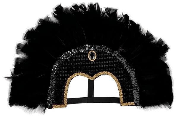 Grote foto feather headpiece zwart verzamelen overige verzamelingen