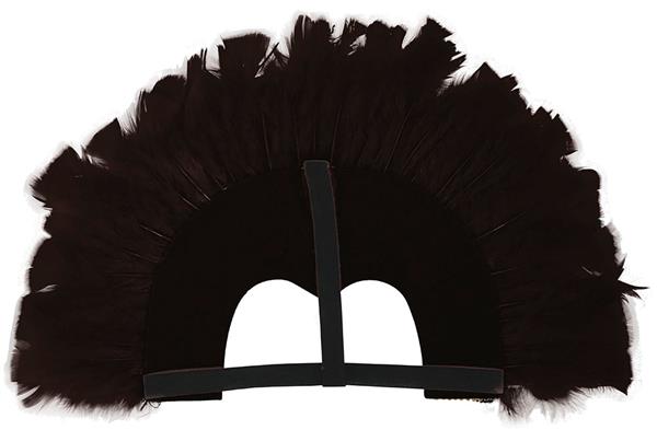 Grote foto feather headpiece zwart verzamelen overige verzamelingen