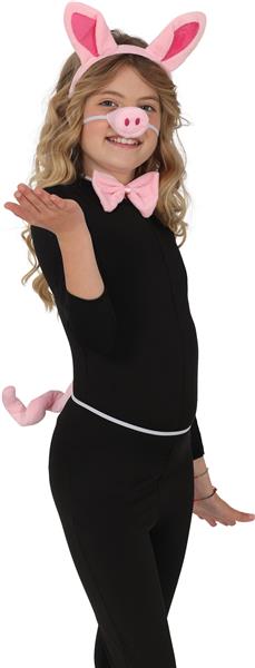 Grote foto accessoire varken 4 delig verzamelen overige verzamelingen