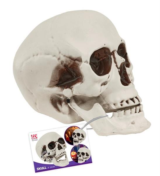 Grote foto schedel met beweegbare kaak 12cm verzamelen overige verzamelingen