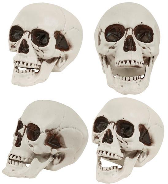 Grote foto schedel met beweegbare kaak 12cm verzamelen overige verzamelingen