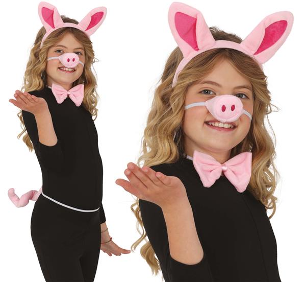 Grote foto accessoire varken 4 delig verzamelen overige verzamelingen