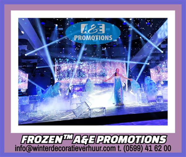 Grote foto ijsberen bewegend ijsbeerkoning brabant huren diensten en vakmensen bedrijfsuitjes