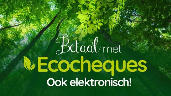 Grote foto kersbomen in pot van 80 cm tot 2m. tuin en terras tuindecoratie