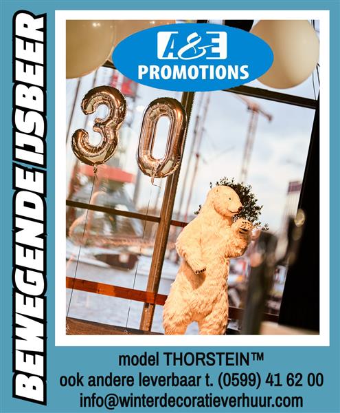 Grote foto verhuur kerst borrel versiering witte kerst ommen diensten en vakmensen bedrijfsuitjes