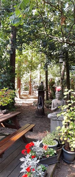 Grote foto altijd vakantie... huizen en kamers recreatiewoningen