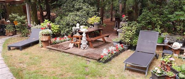 Grote foto altijd vakantie... huizen en kamers recreatiewoningen