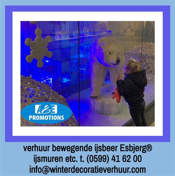 Grote foto verhuur ijsbeer knokke oostende sneeuwpanter diversen kerst