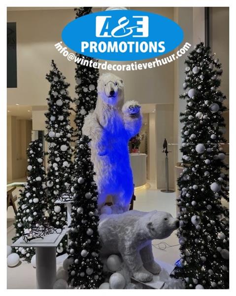 Grote foto verhuur ijsbeer knokke oostende sneeuwpanter diversen kerst