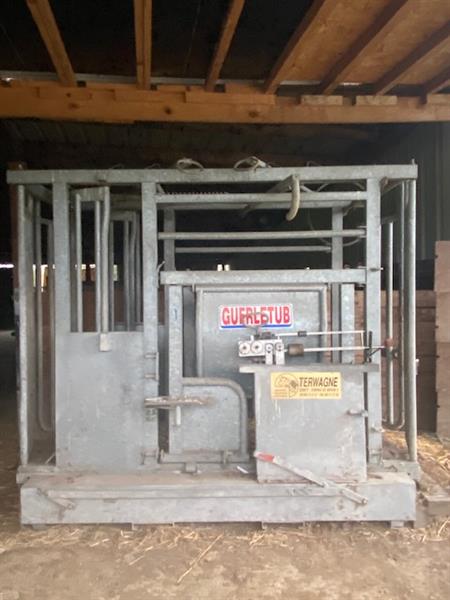 Grote foto doorloopweegschaal voor runderen agrarisch veehouderij