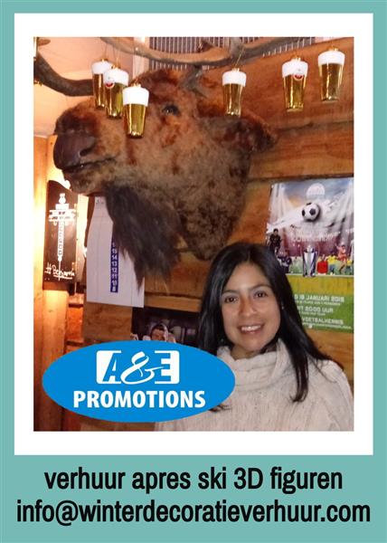 Grote foto verhuur eland rendier den haag breda diversen kerst