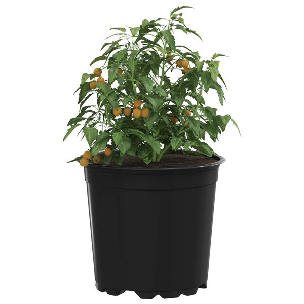 Grote foto vidaxl bloempot 100 pcs zwart 15 x 12.5 cm kunststof tuin en terras overige tuin en terras