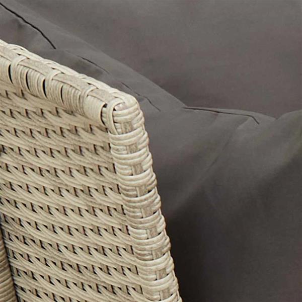 Grote foto vidaxl tuinbank met kussens poly rattan lichtgrijs tuin en terras tuinmeubelen