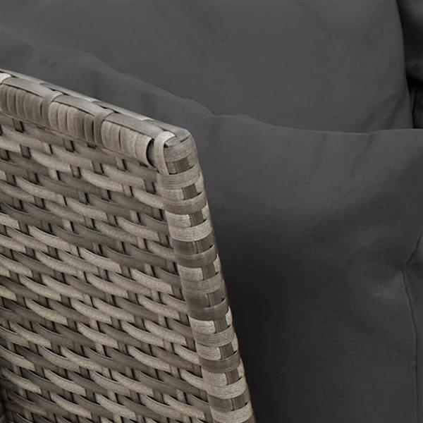 Grote foto vidaxl tuinbank met kussens poly rattan grijs tuin en terras tuinmeubelen