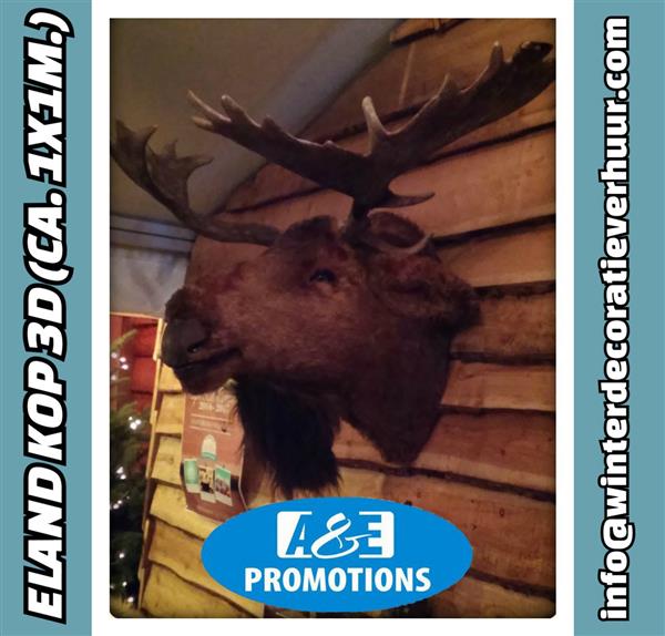 Grote foto huur decorbouw winters hasselt luik hobby en vrije tijd feestartikelen