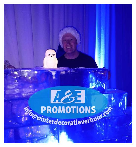Grote foto sneeuw uil prop verhuur ijsblokken gent genk diensten en vakmensen entertainment