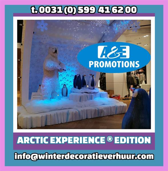 Grote foto sneeuw uil prop verhuur ijsblokken gent genk diensten en vakmensen entertainment