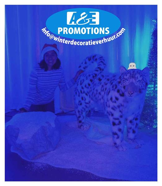 Grote foto verhuur winterdecoratie items nijmegen apeldoorn diversen versiering