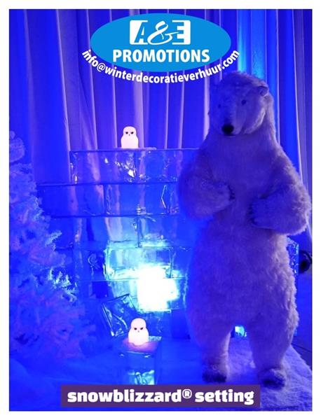 Grote foto ice cave rekwisiet verhuur ijsbeer leuven diversen overige