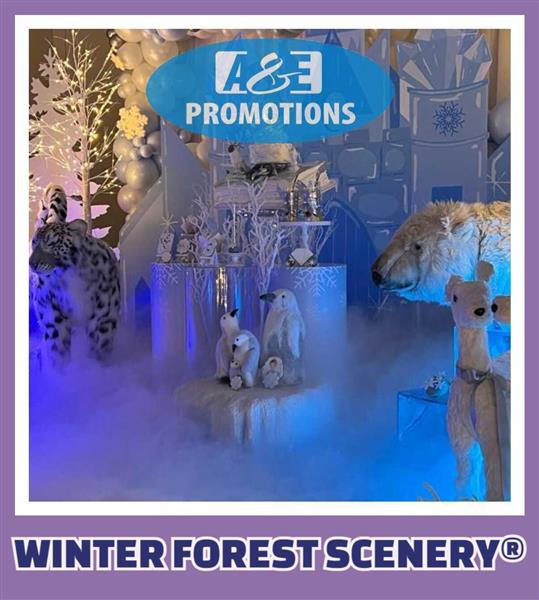 Grote foto winter wonderland setting verhuur rotterdam delft diversen kerst