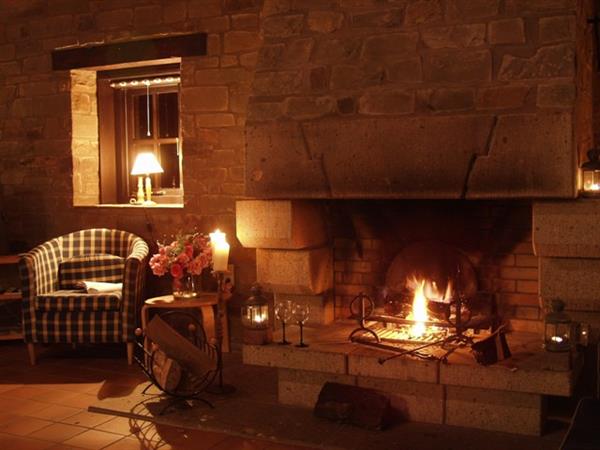 Grote foto vrijst vakantiehuis sauna speeltuin hond welk vakantie belgi