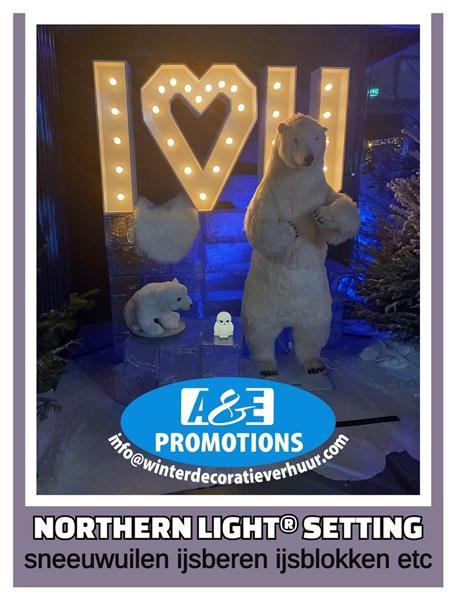 Grote foto verhuur ijsblokken ice bar lounge inrichting diensten en vakmensen entertainment