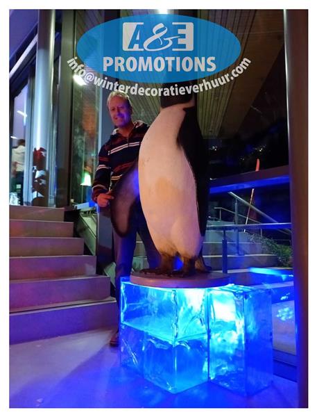 Grote foto verhuur frozen ijstroon ijskasteel luik diversen overige diversen