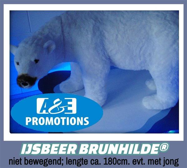 Grote foto fantastische winterprops verhuur brussel gent diversen overige diversen