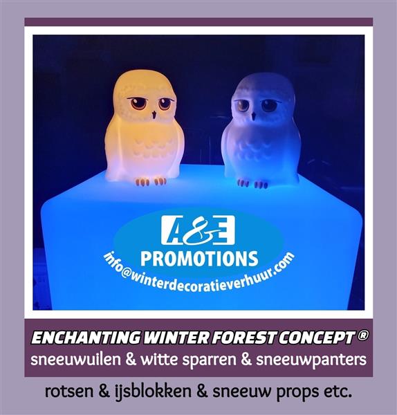 Grote foto verhuur frozen ijszetel winterkoning leuven diensten en vakmensen entertainment