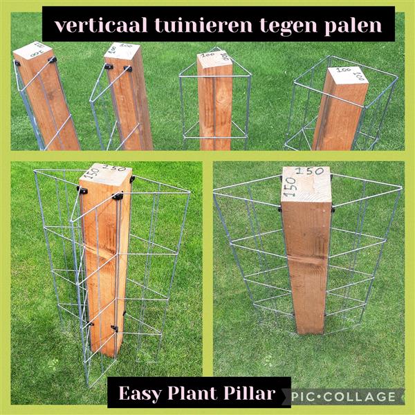 Grote foto klimplanten langs palen en muren leiden. tuin en terras tuinhout en palen