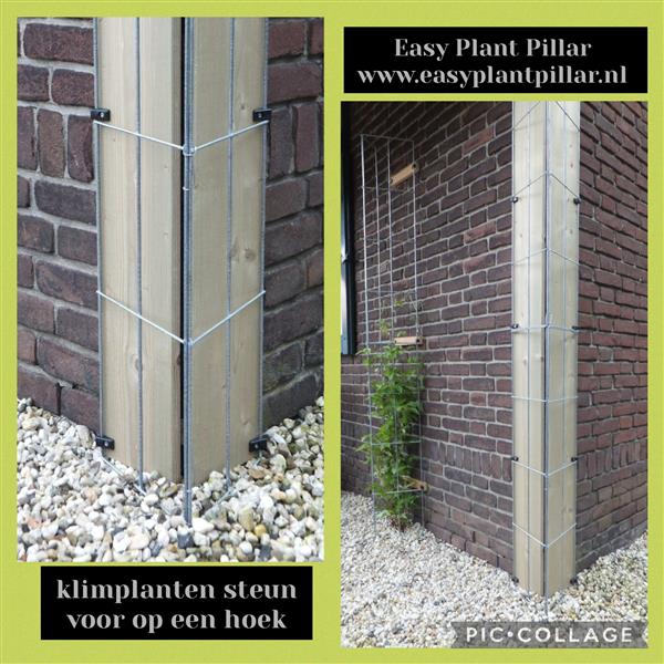 Grote foto klimplanten langs palen en muren leiden. tuin en terras tuinhout en palen