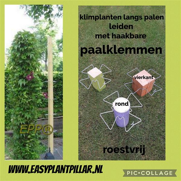 Grote foto klimplanten langs palen en muren leiden. tuin en terras tuinhout en palen