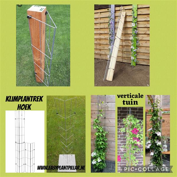 Grote foto klimplanten langs palen en muren leiden. tuin en terras tuinhout en palen