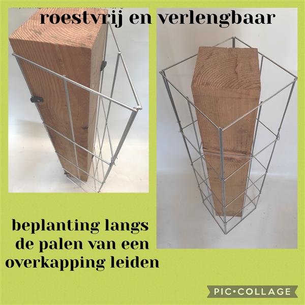 Grote foto klimplanten langs palen en muren leiden. tuin en terras tuinhout en palen